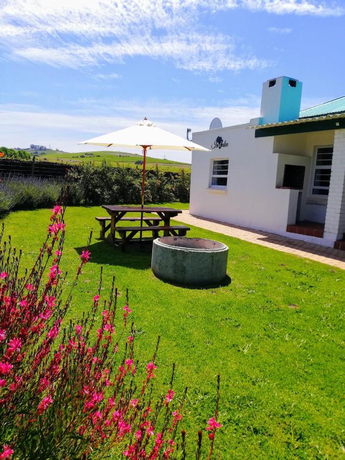Induku Villa Stellenbosch Exterior foto
