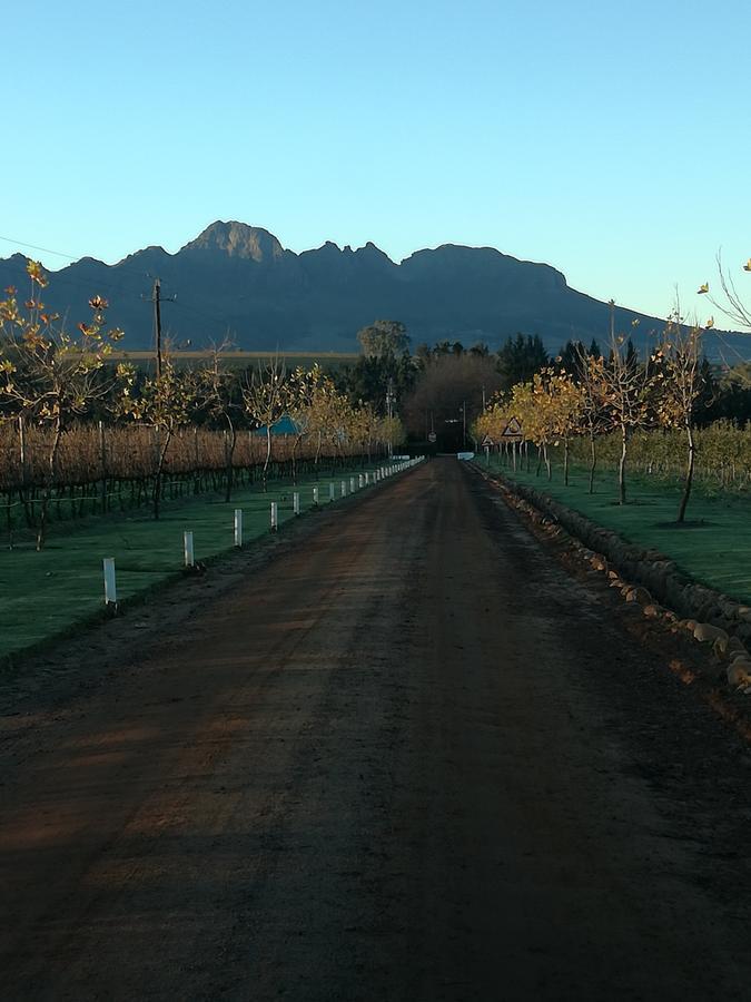Induku Villa Stellenbosch Exterior foto