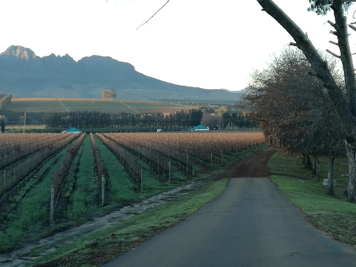 Induku Villa Stellenbosch Exterior foto